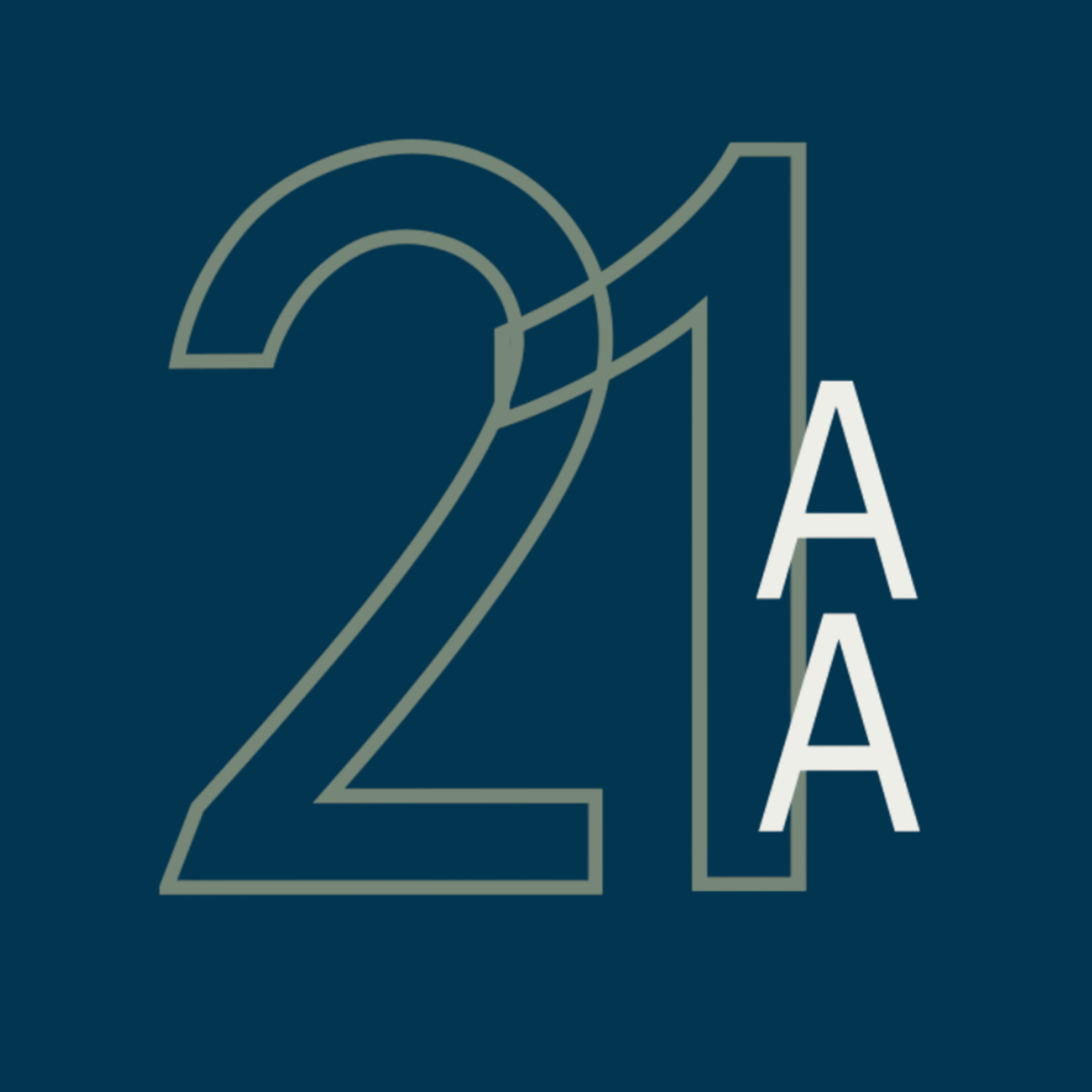 21 Aspects Assessment