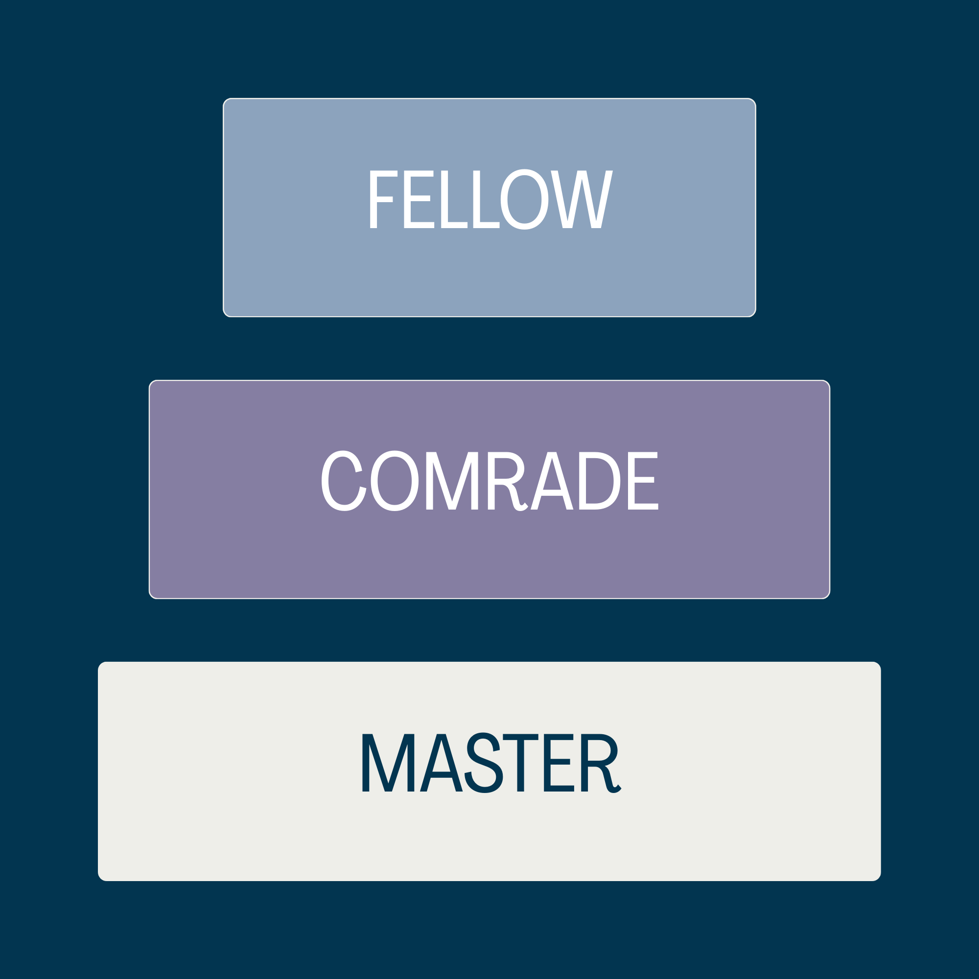 Spark Life Facilitator Program Diagram