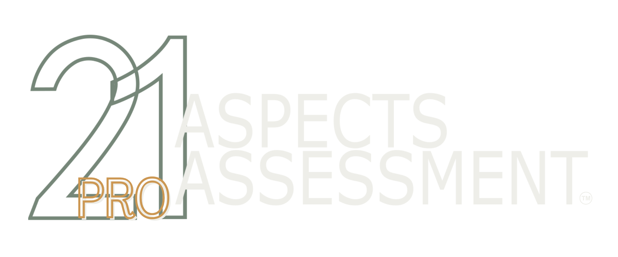 21 Aspects Assessment PRO