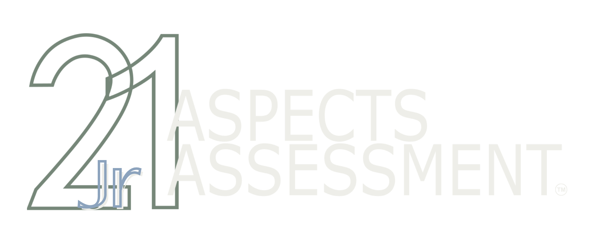 21 Aspects Assessment Jr