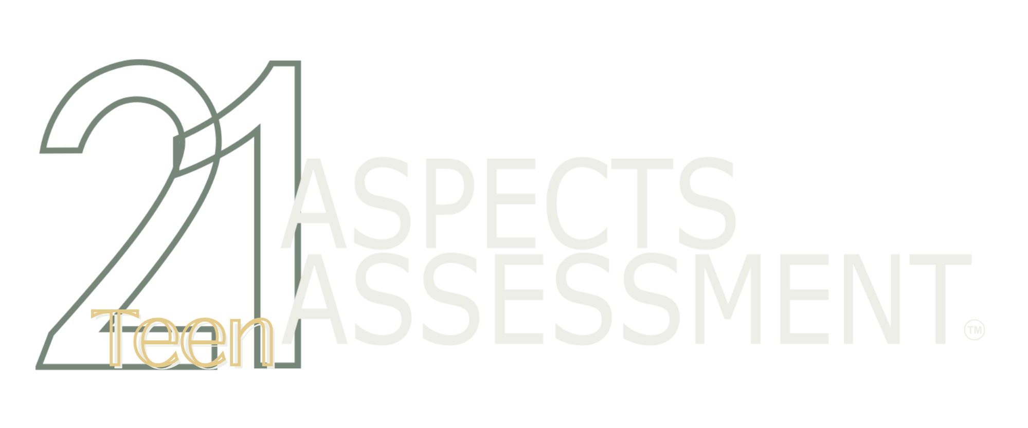 21 Aspects Assessment Teen